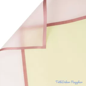   Áttetsző keretes matt fólia ív 58x58cm 20db/cs - Világoszöld