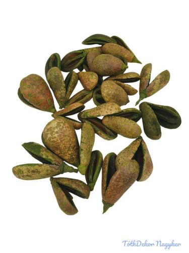 Pear pod 19dkg /csomag - Zöld