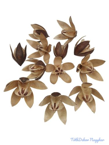 Lily 12db/csomag - Natúr