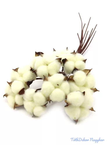 Drótos szárú gyapot 10db 5-6 cm fej - Törtfehér