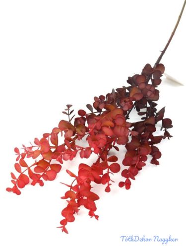 Őszi színátmenetes eukaliptusz ág 79cm - Piros