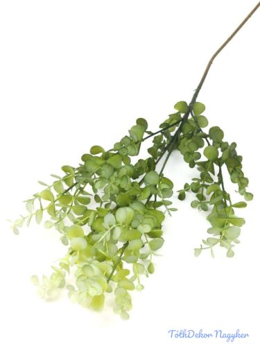 Őszi színátmenetes eukaliptusz ág 79cm - Zöld