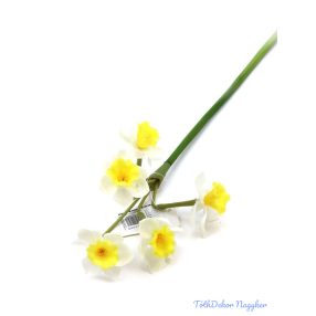 Gumi nárciszos x5 szár 47cm - Fehér