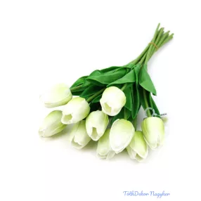   Tulipán gumis 10 szálas real touch köteg 33cm - Halvány Zöld