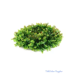   Eukaliptuszos műzöld koszorú alap 45 cm - 25 Piruló Zöld