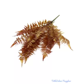 Páfrány műzöld bokor 50 cm - Barna