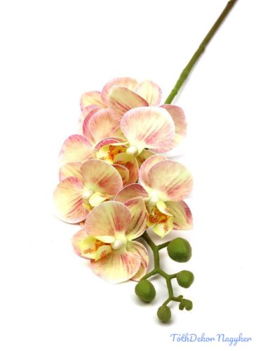 Orchidea szálas művirág ág 63 cm - Cirmos Krém