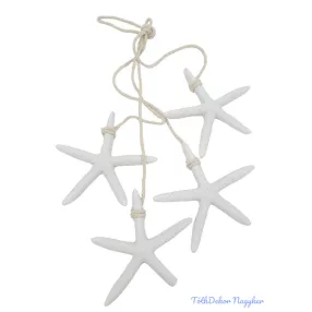 Nyári dekor - Tengeri csillag kb 8,5cm