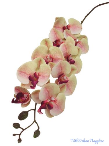 Orchidea 9 mű fejes ág 110cm - Zöld-Bordó középpel