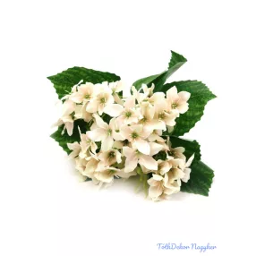 Átmenetes kis selyem csokor 30cm 345 - Halvány Barack