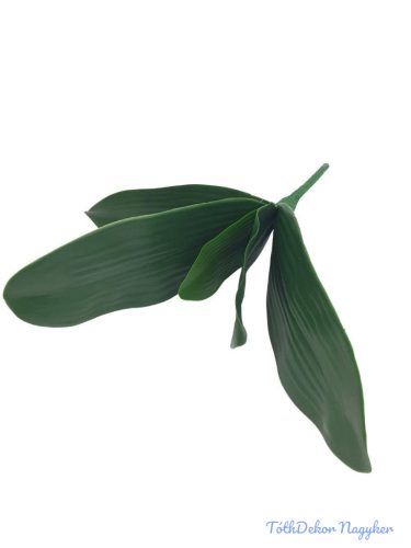 Orchidea levél 5 leveles