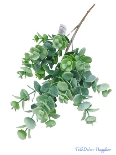 Eukaliptusz ág 50cm - Zöld