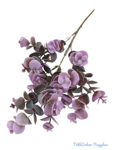 Eukaliptusz ág 50cm - Lila