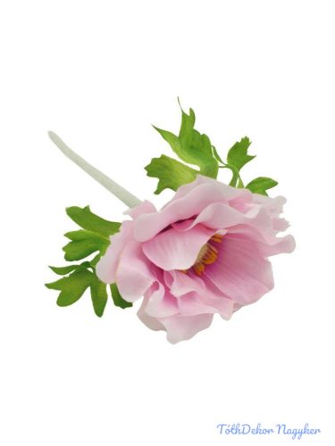 Anemone szálas selyemvirág 30cm - Rózsaszín