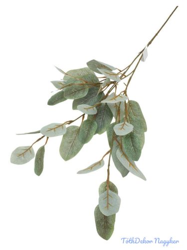 Leveles ág 95cm - Hamvas Zöld