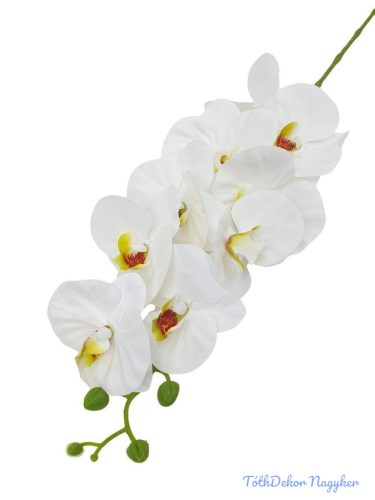 Fodros szirmú orchidea ág 9v 90cm - Fehér