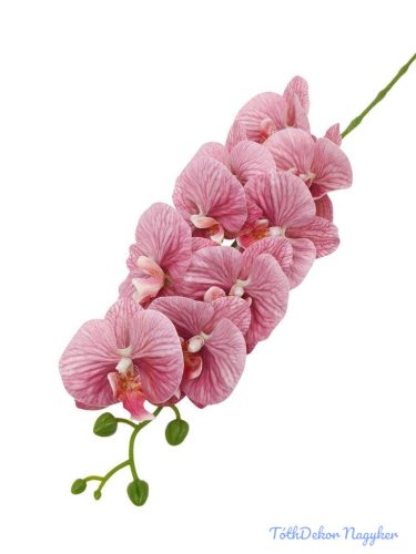 Fodros szirmú orchidea ág 9v 90cm - Mályva
