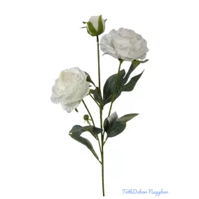 Szálas bazsarózsa 2+1 - Fehér 