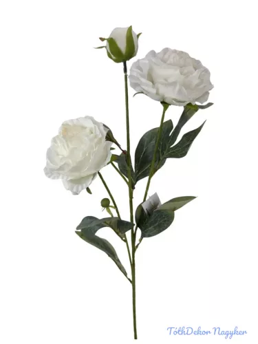 Szálas bazsarózsa 2+1 - Fehér 