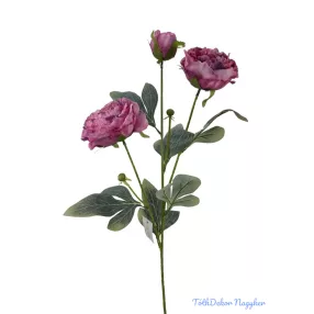 Szálas bazsarózsa 2+1 - Pink