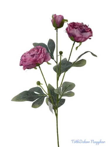 Szálas bazsarózsa 2+1 - Pink