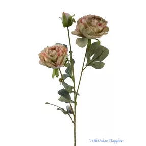 Szálas bazsarózsa 2+1 - Cirmos Zöld