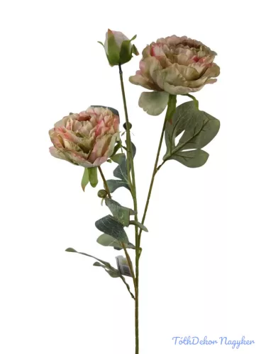 Szálas bazsarózsa 2+1 - Cirmos Zöld