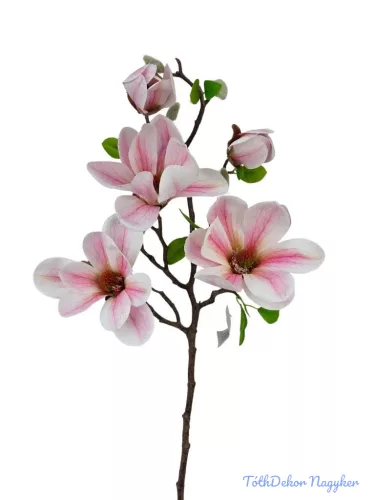 Magnólia ág 70cm - Rózsaszín