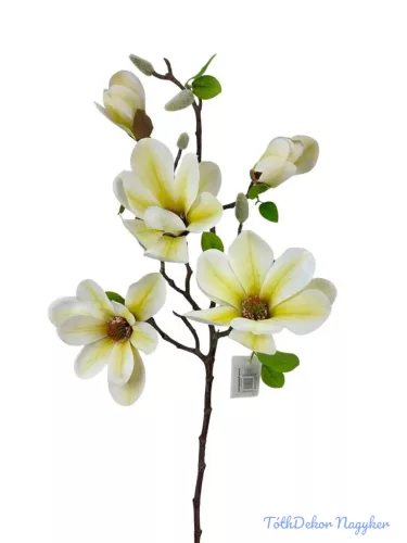 Magnólia ág 70cm - Krém