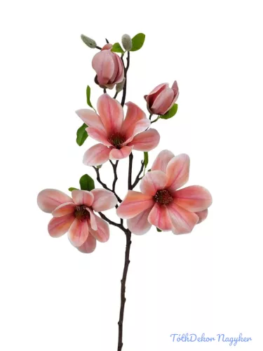 Magnólia ág 70cm - Barackos Rózsaszín