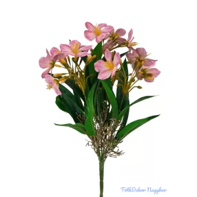 Klívia nyílt csokor 34 cm - Pink