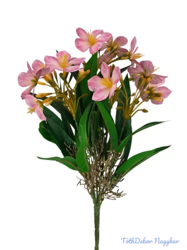 Klívia nyílt csokor 34 cm - Pink