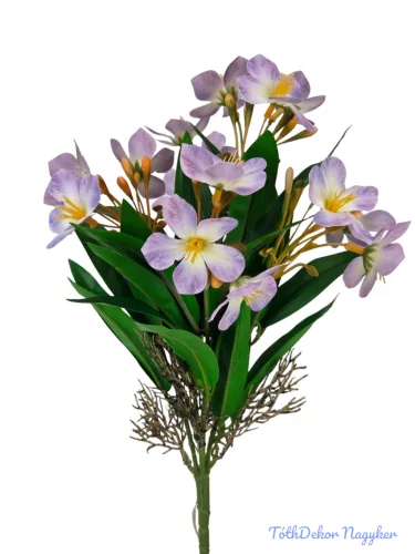 Klívia nyílt csokor 34 cm - Lila