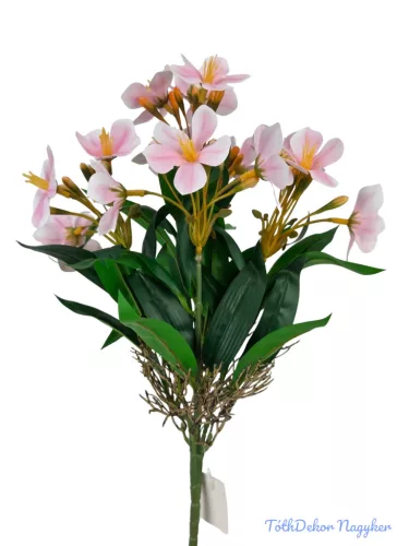 Klívia nyílt csokor 34 cm - Rózsaszín