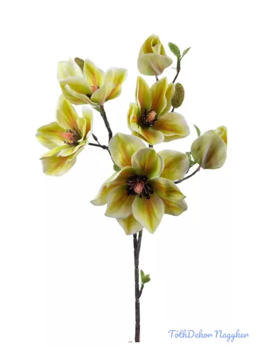 Magnólia ág 90cm - Zöld
