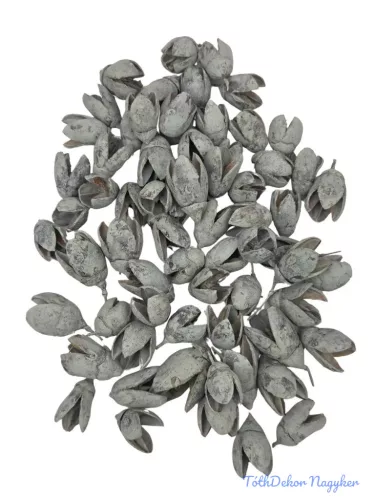 Bakuli - Szürke