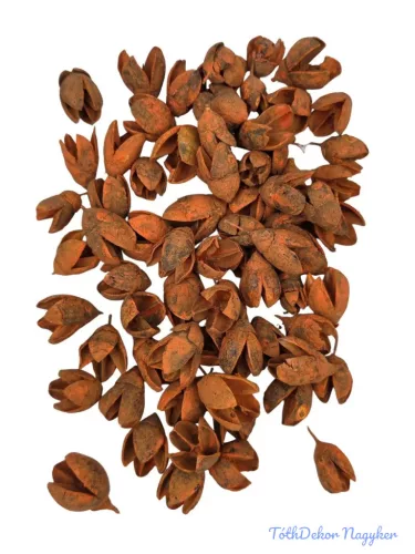 Bakuli - Narancs
