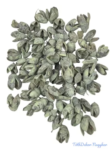 Bakuli - Halvány zöld