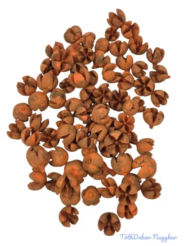 Chiruni pod - Narancs