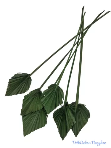 Pálma levél mini - Zöld