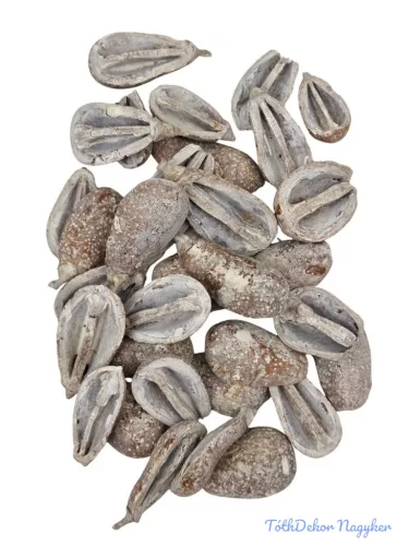 Pear pod - Hamvas