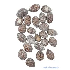 Cane Fruit - Hamvas
