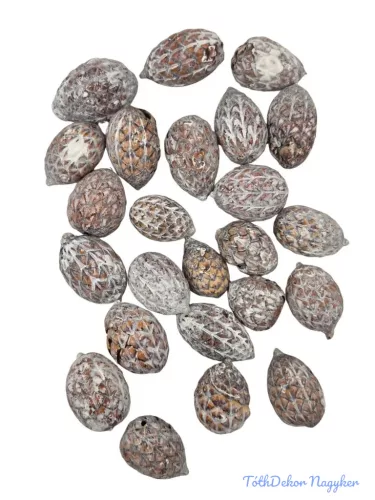 Cane Fruit - Hamvas