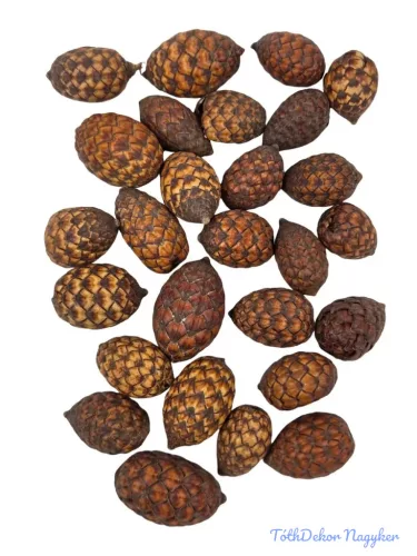 Cane Fruit - Natúr