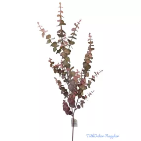 Eukalypthus ág 70 cm - Bordó