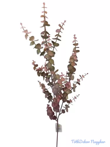 Eukalypthus ág 70 cm - Bordó