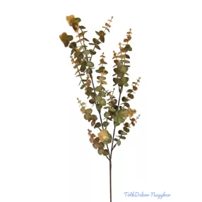 Eukalypthus ág 70 cm - Sárga