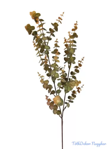 Eukalypthus ág 70 cm - Sárga