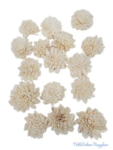 Shola zinnia 4cm 16db/csomag - Natúr