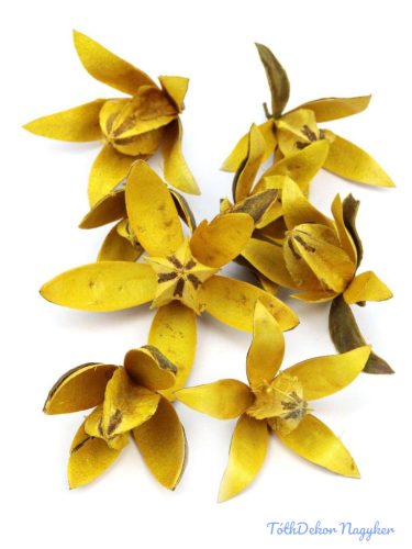 Lily 9db/csomag - Sárga